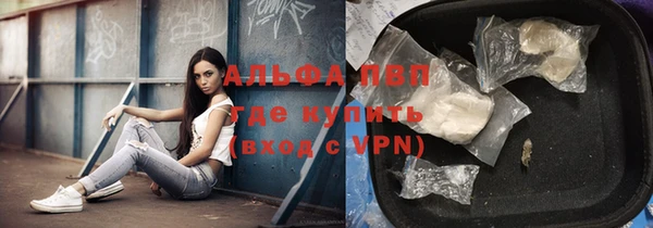 стаф Нея