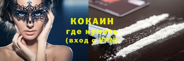 стаф Нея