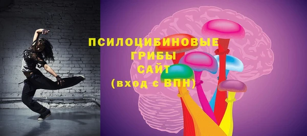 стаф Нея