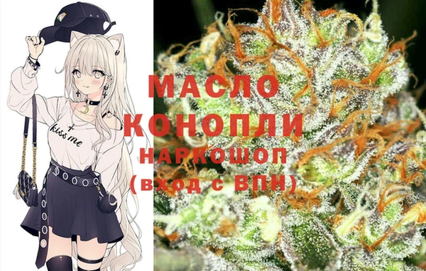 стаф Нея