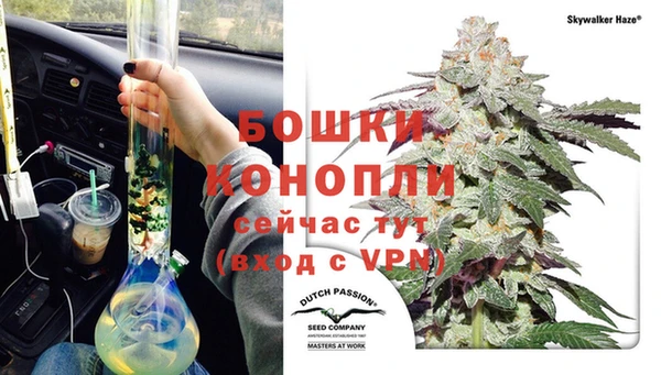 стафф Нефтекумск