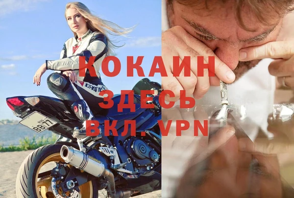 стаф Нея
