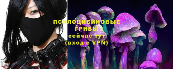 крисы Нефтегорск