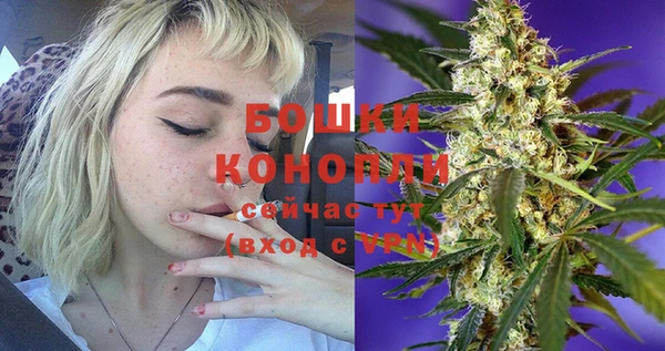стаф Нея