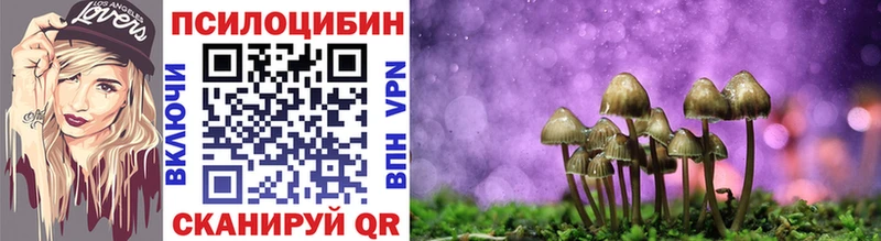 Псилоцибиновые грибы Cubensis  купить  цена  Николаевск 